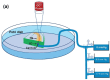 Figure 16.