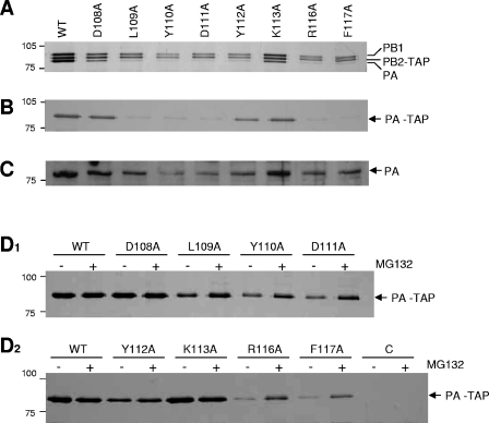 FIG. 4.