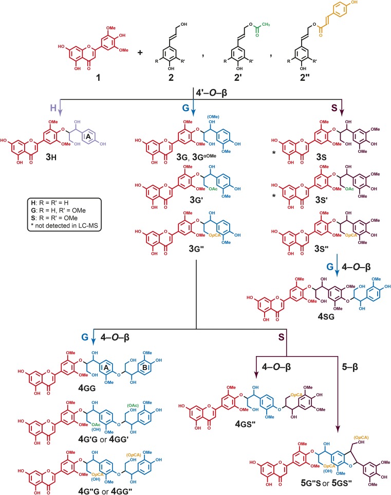 Figure 1.