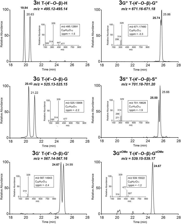 Figure 3.