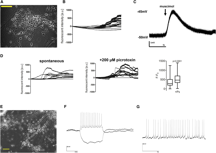 Figure 4