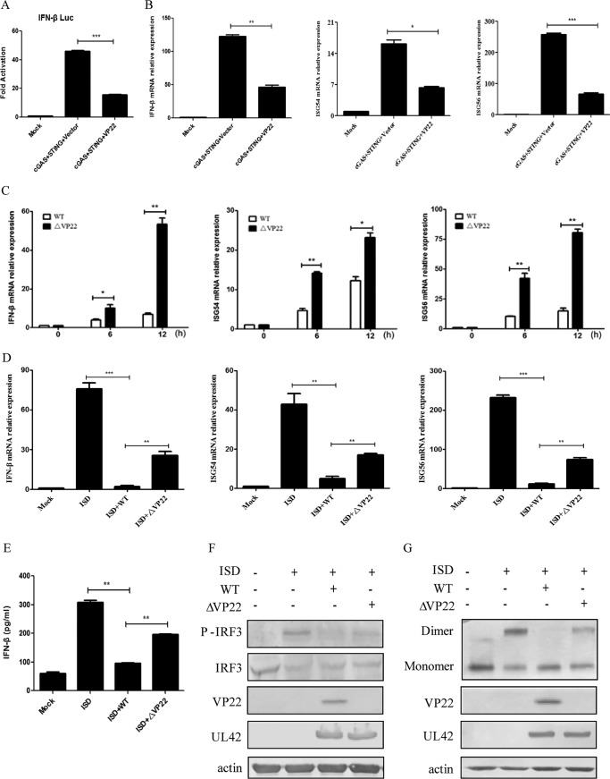 FIG 1