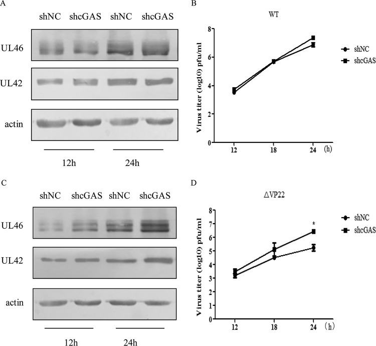 FIG 4