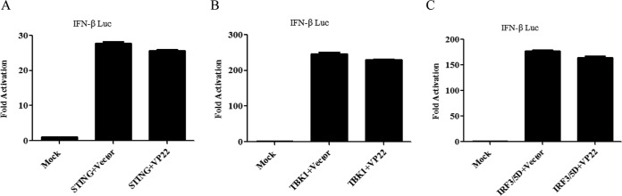 FIG 2