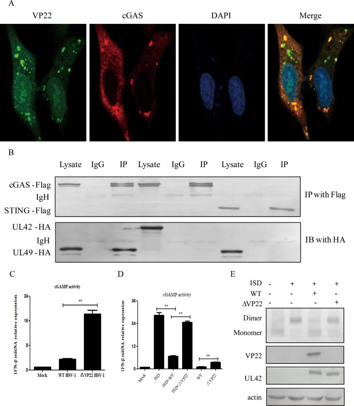 FIG 3