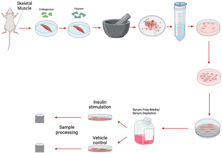 Figure 1: