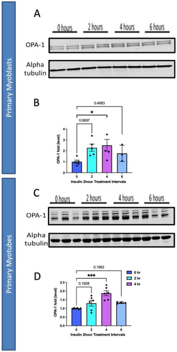 Figure 6: