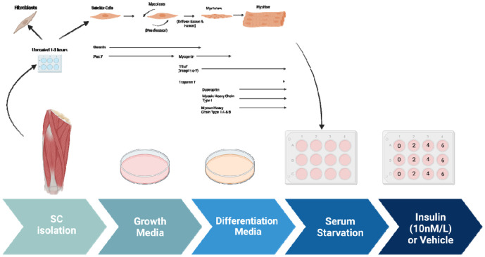 Figure 2: