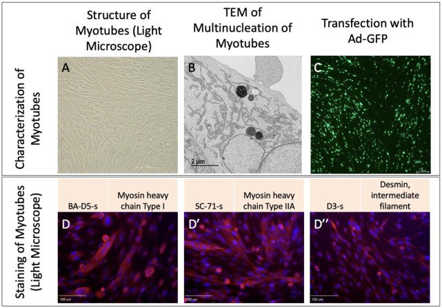 Figure 3: