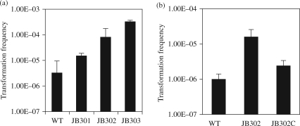 Figure 2