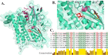 Fig 6