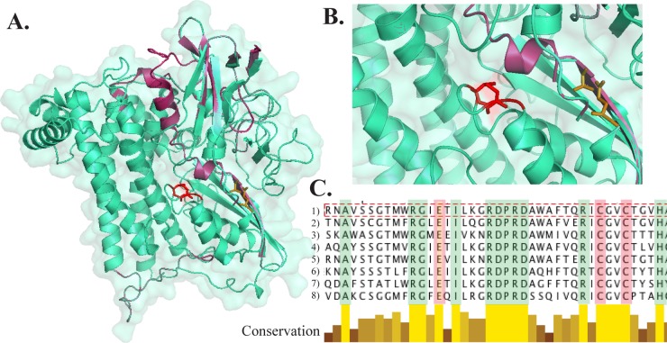 Fig 6