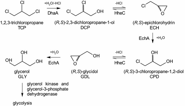 Scheme 1