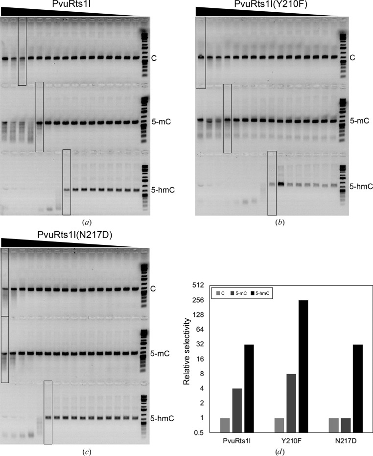 Figure 6