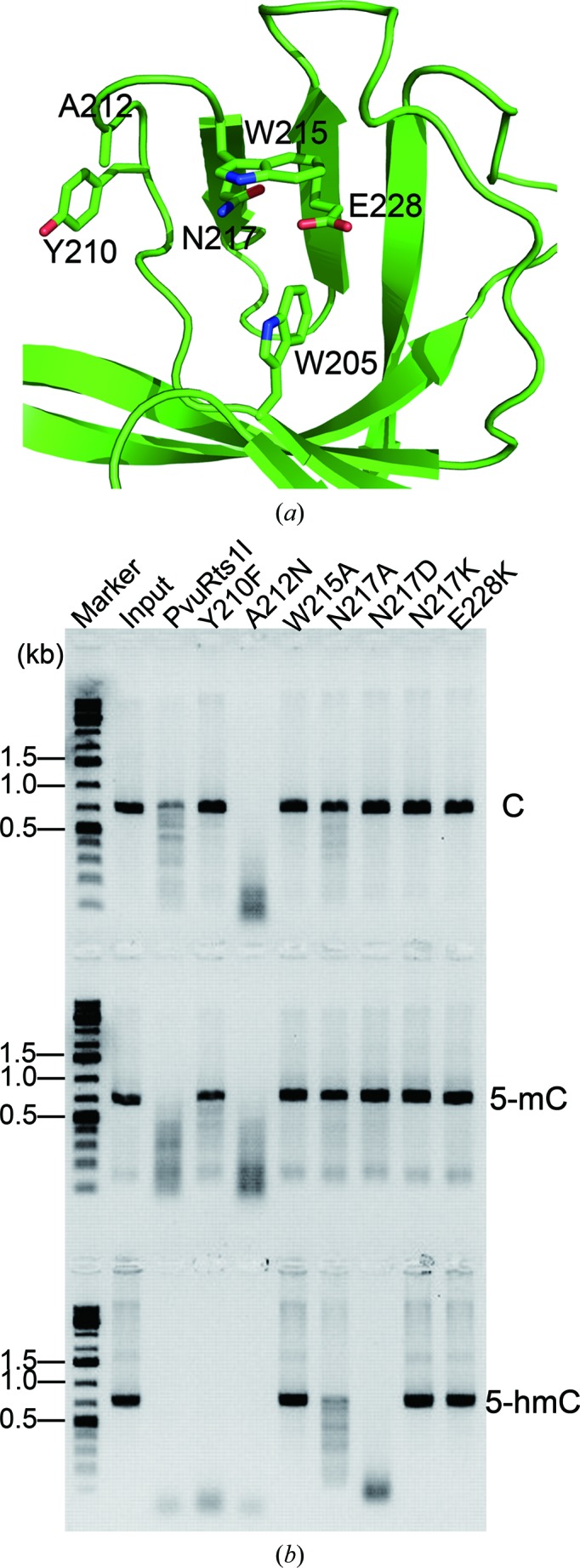 Figure 5