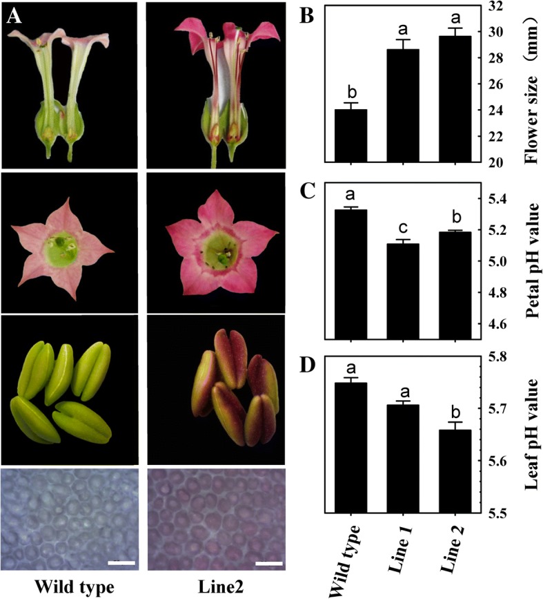 Fig. 4