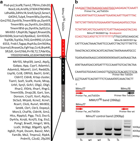 Fig. 4