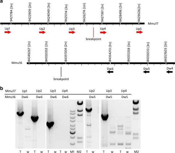 Fig. 3