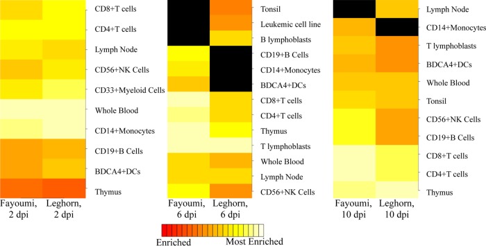 FIG 4