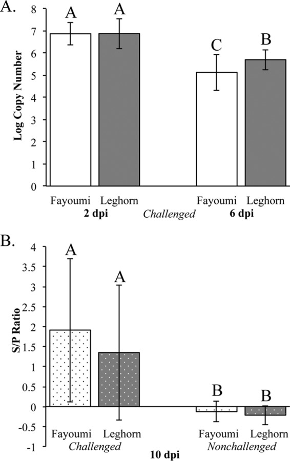 FIG 1