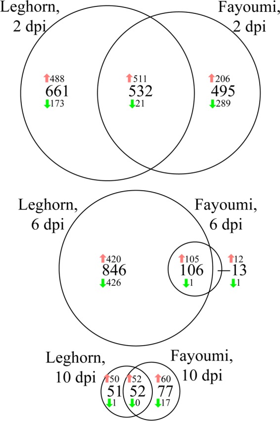 FIG 3