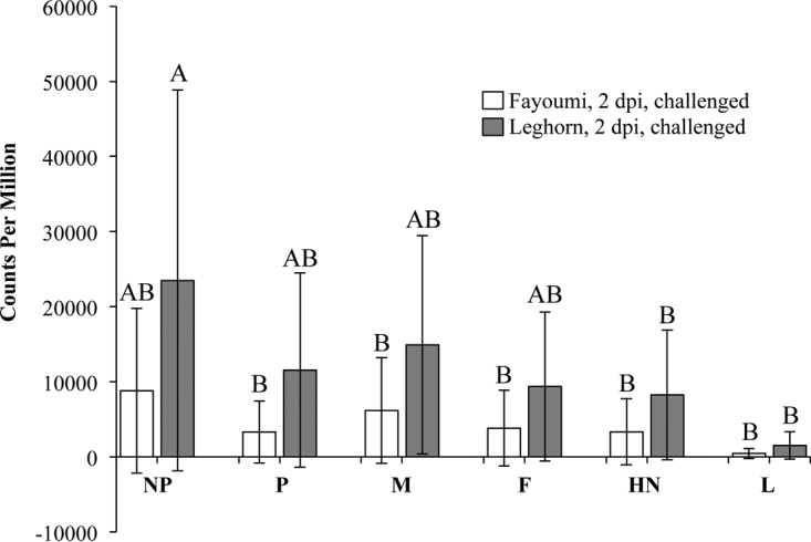 FIG 2