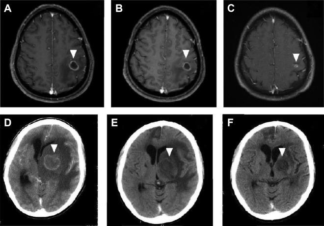 Figure 6.