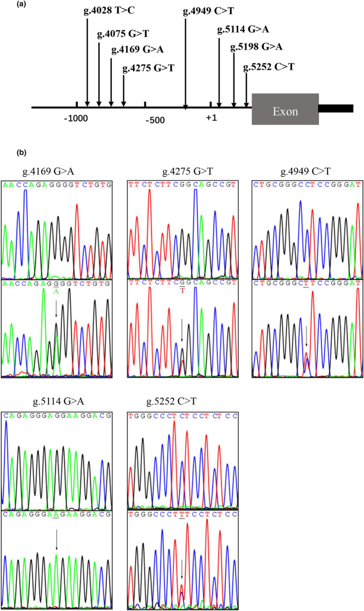 FIGURE 1