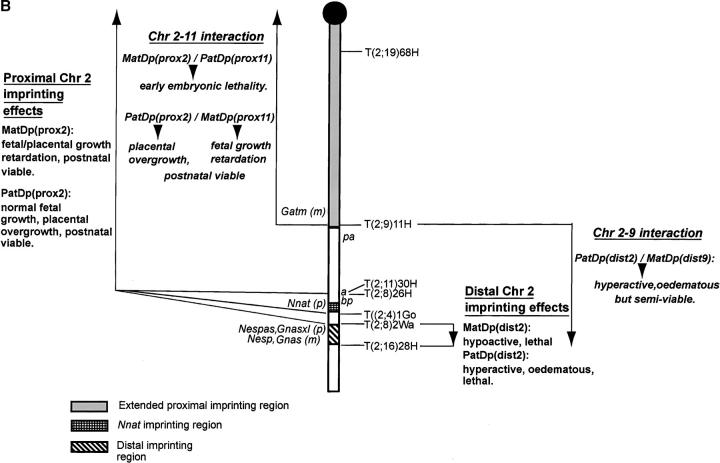 Figure 3.—