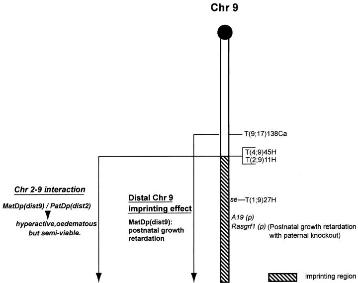 Figure 6.—