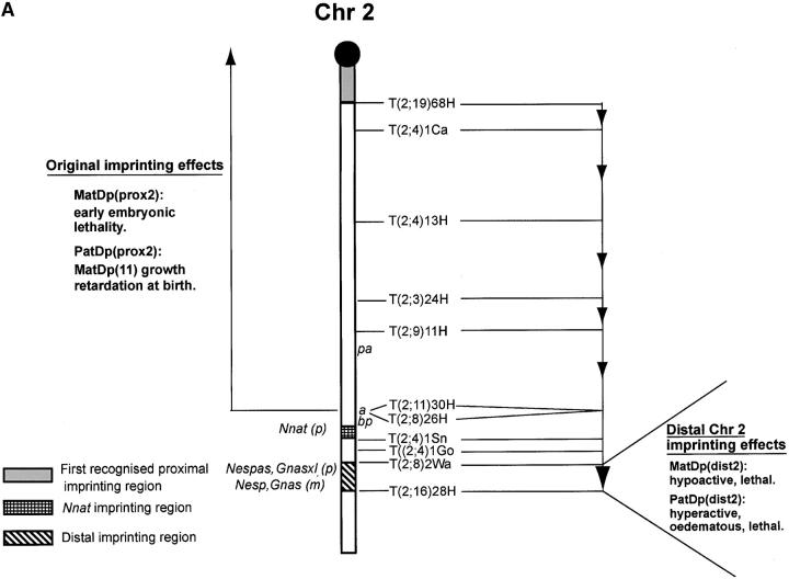 Figure 3.—