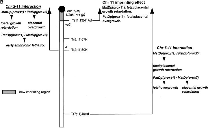 Figure 2.—