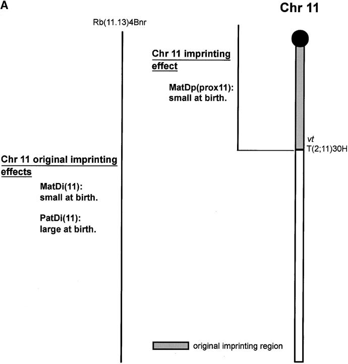 Figure 2.—