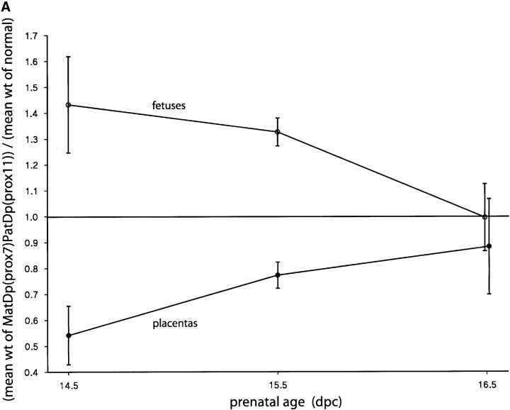 Figure 5.—