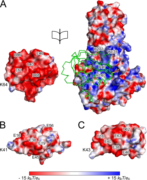 FIGURE 3.