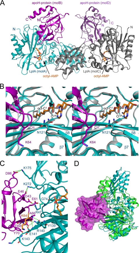 FIGURE 2.