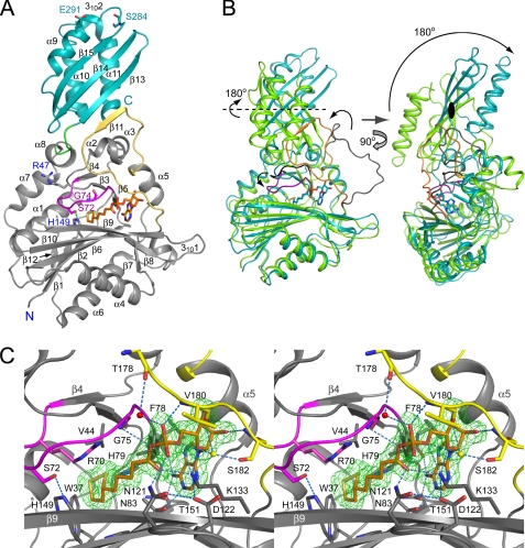 FIGURE 1.