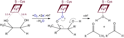 Fig. 3.