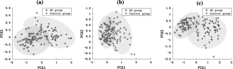 Fig. 10