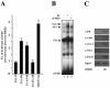 FIG. 6.