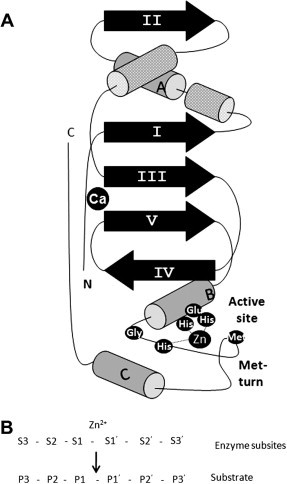 Fig. 5