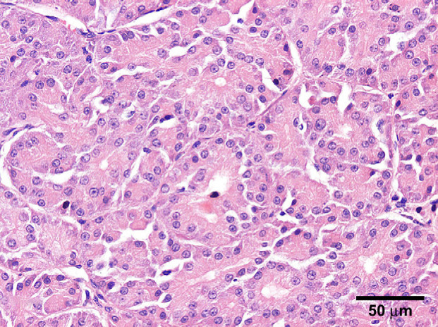 Fig 2.