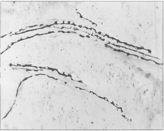 Fig. 16