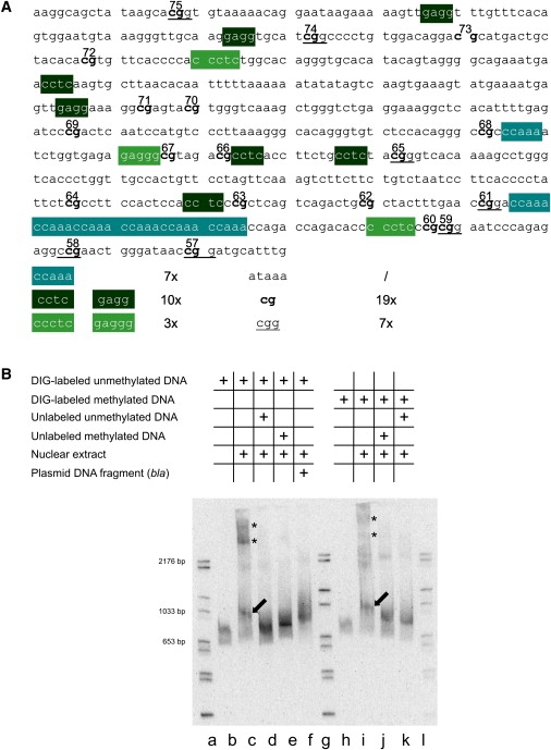 Figure 5