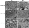 FIG. 6.