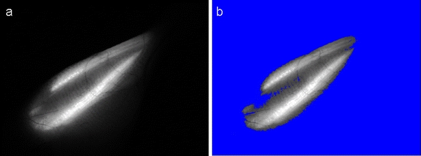 Fig. 2