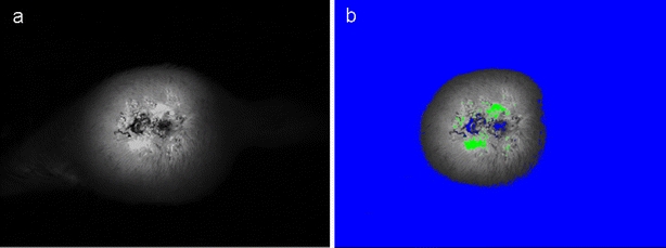 Fig. 1