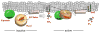 Fig. 3.5