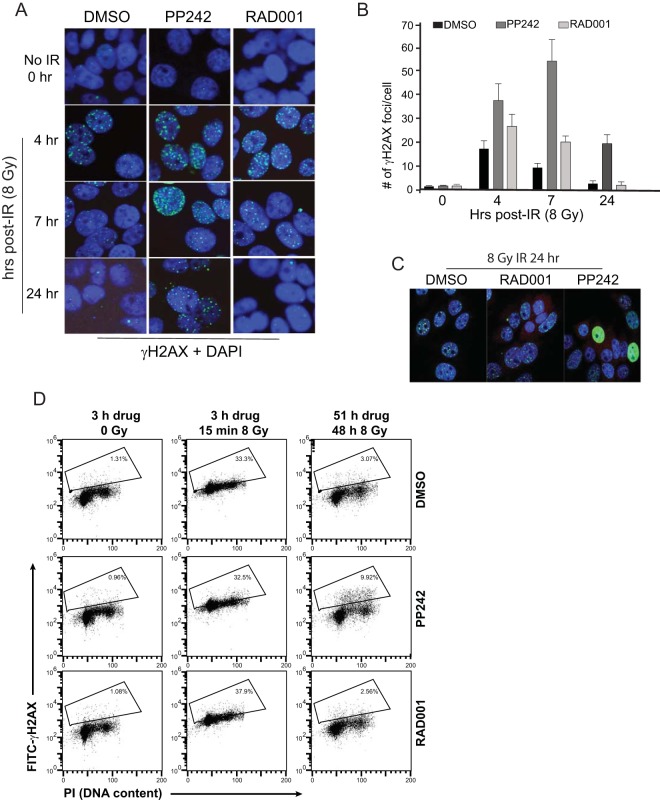 FIG 6