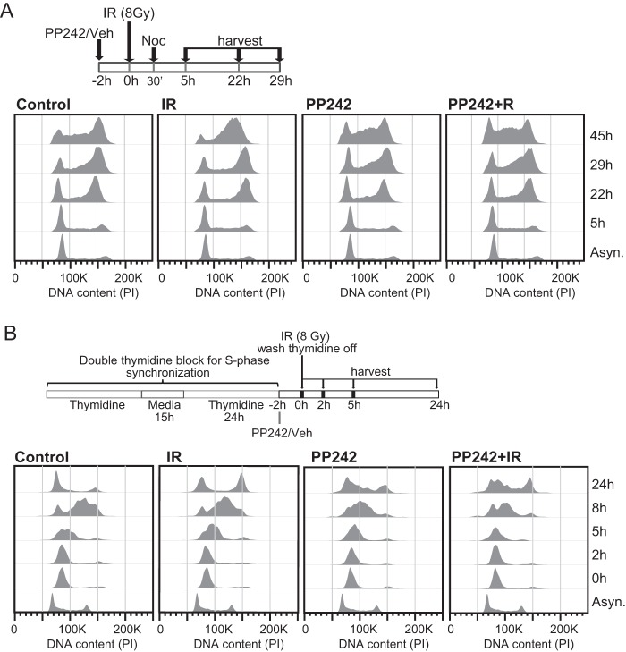 FIG 11